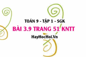 Bài 3.9 trang 51 Toán 9 tập 1 Kết nối tri thức